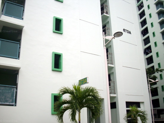 Blk 673A Jurong West Street 65 (Jurong West), HDB 4 Rooms #424062
